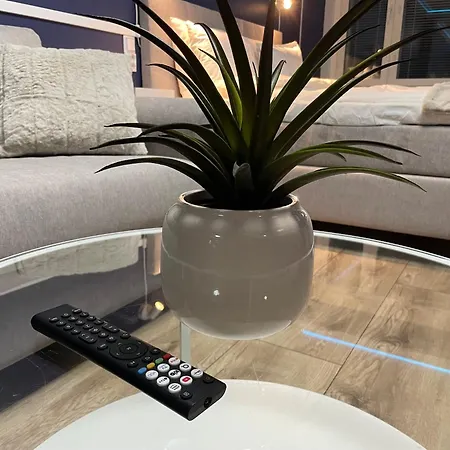 Marienhof Free Parking 公寓 *